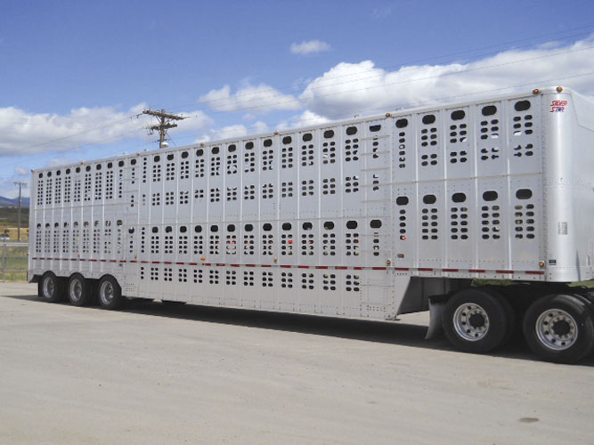 2008 Wilson Silver Star Livestock Trailer For Sale Missoula, MT