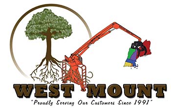 West Mount Inc.