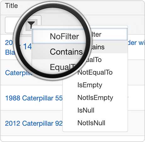 Advanced Filter Functionality