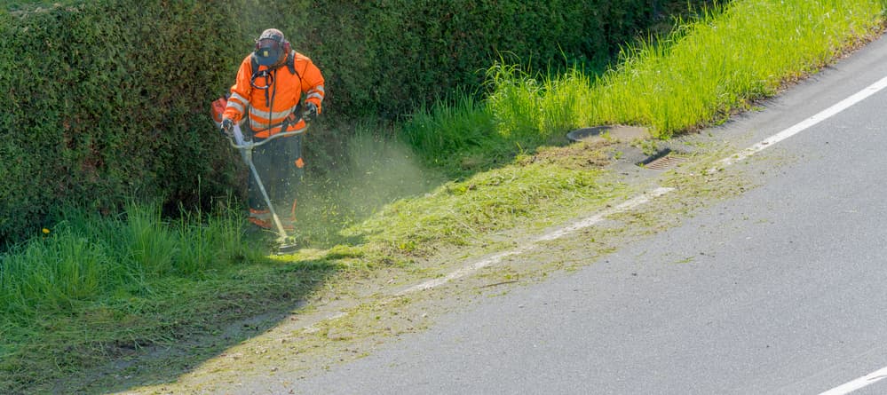 brush clearing working