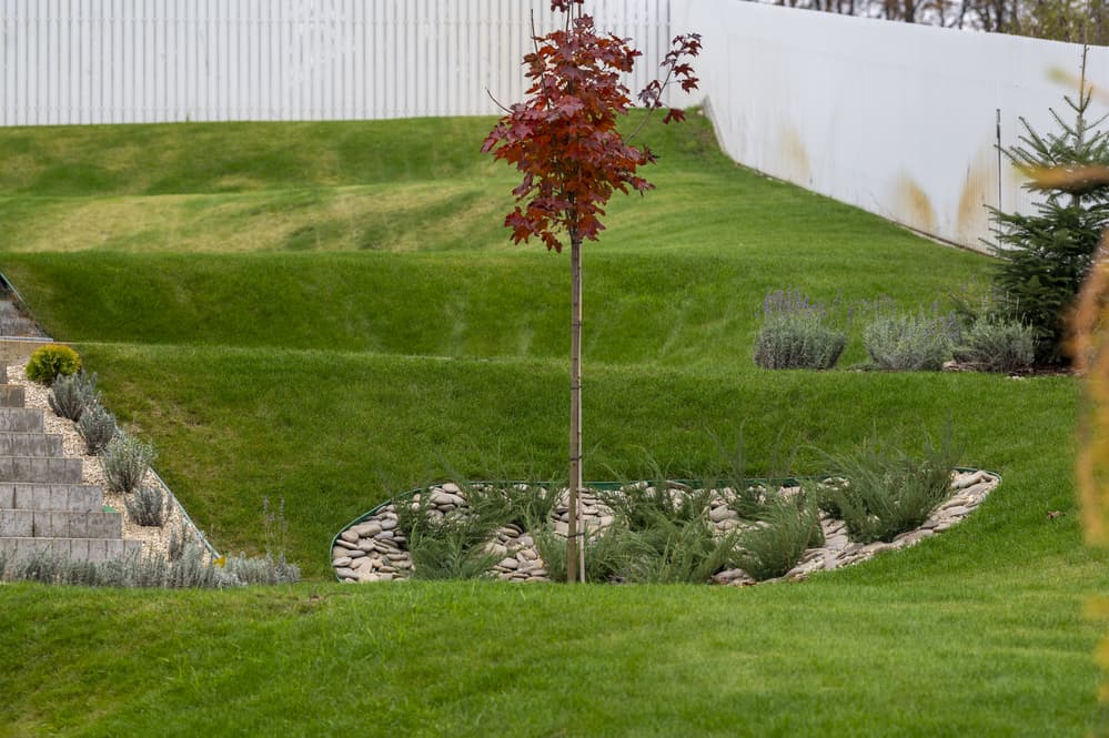 negative grade slope backyard