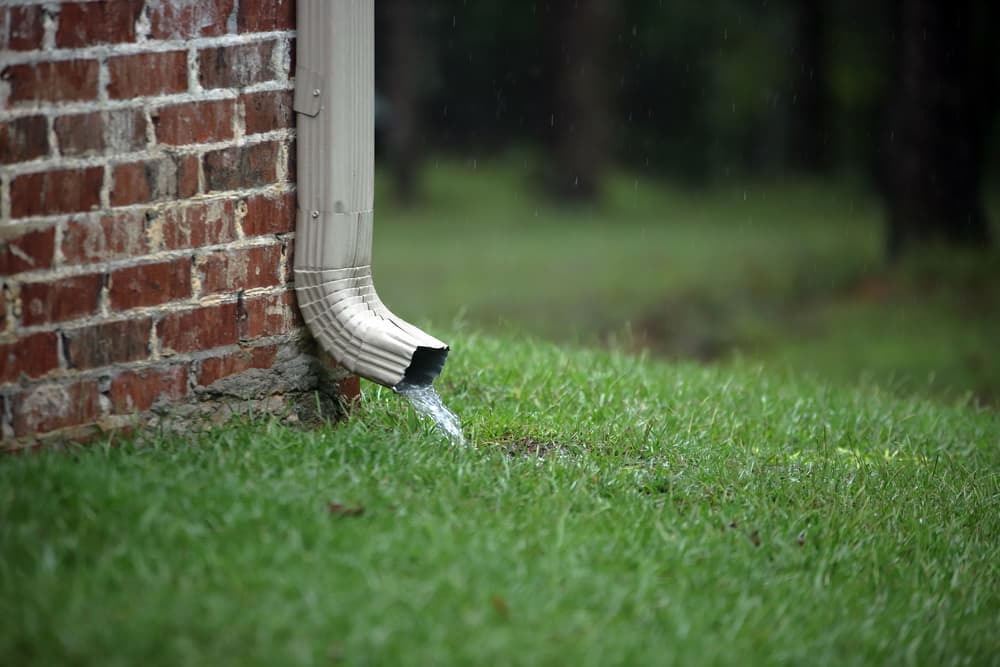 water from downspout directly into yard
