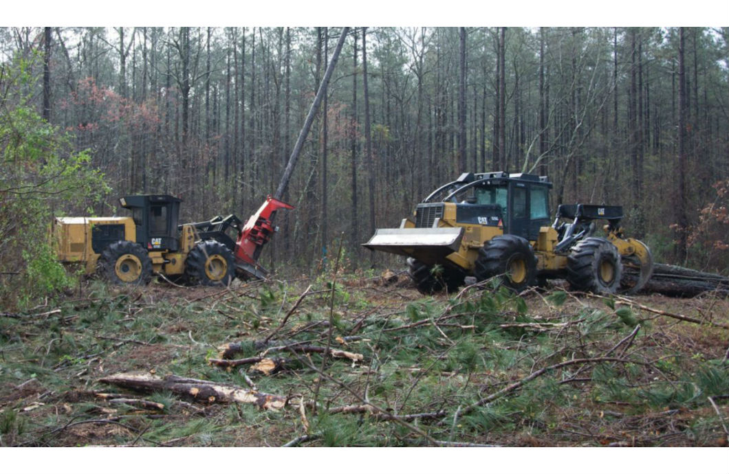 Caterpillar Forestry Models